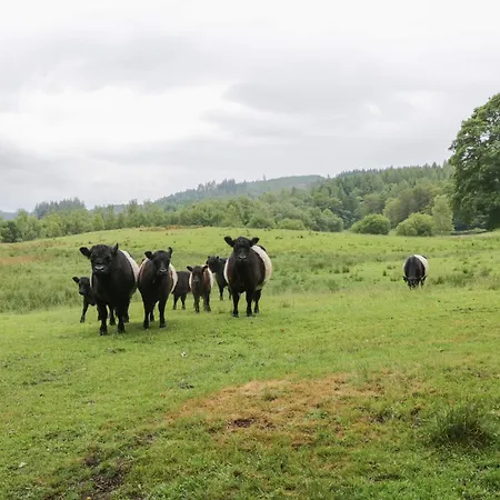 Bull Pen At The Graythwaite Estate * 울버스톤